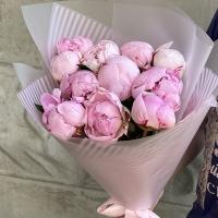 11 Крупных Пионов 