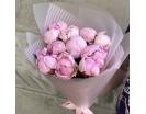 11 Крупных Пионов 