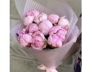 11 Крупных Пионов 