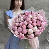 51 Пион Сара