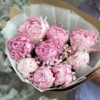 9 Нежных Пионов Сара