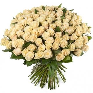 101 Кремовая Роза «Талея»