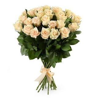 25 Кремовых Роз «Талея»