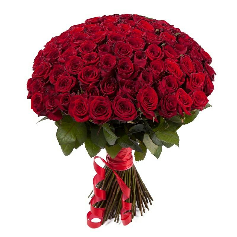 101 Роза «Ред Наоми»