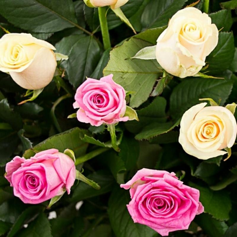 Корзина с кремовыми и розовыми Розами