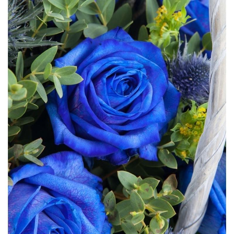 Синие Розы в Корзине
