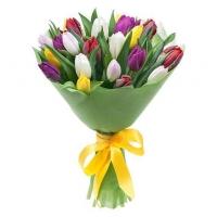 Букеты из 25 Разноцветных Тюльпанов