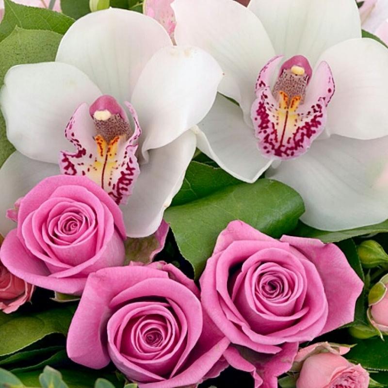Букет из розовых роз и орхидей "Бархатистый Звон"