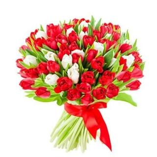 Букет из 15 красных и белых тюльпанов 