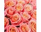 Букет из персиковых роз "Сокровенная Мечта"