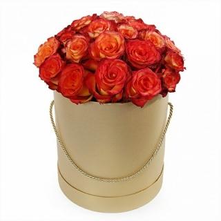 25 Роз «Хай Мэджик»  в шляпной коробке