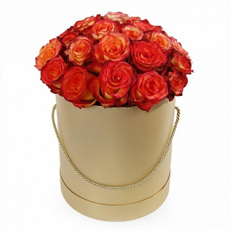 Розы «Хай Мэджик» в шляпной коробке