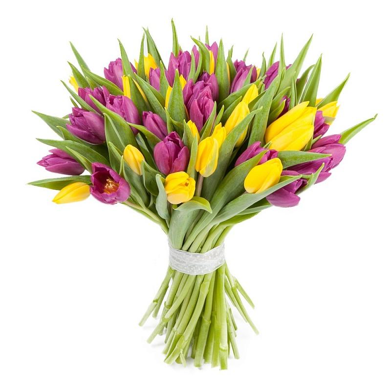 Букет из 15 жёлтых и фиолетовых тюльпанов