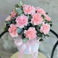 Нежная композиция с гвоздиками «Диантус» Нежная композиция с гвоздиками «Диантус»