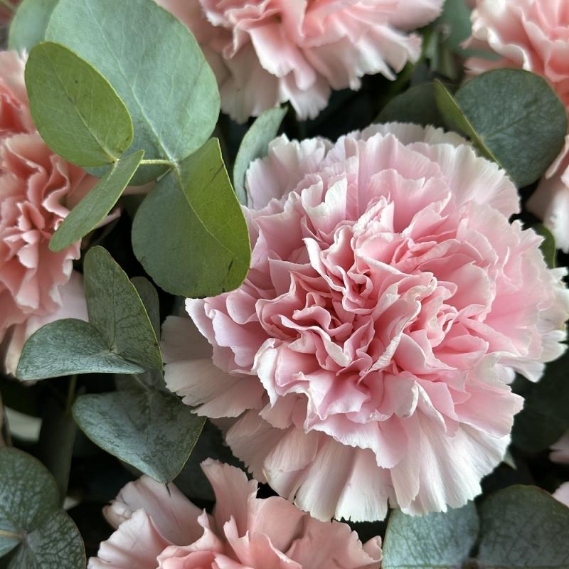 Нежная композиция с гвоздиками «Диантус» Нежная композиция с гвоздиками «Диантус»