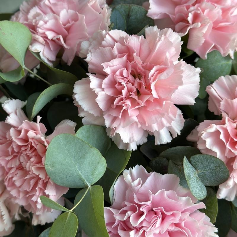 Нежная композиция с гвоздиками «Диантус» Нежная композиция с гвоздиками «Диантус»