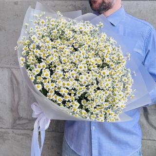 Нежные ромашки 