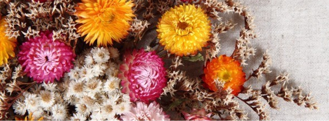 Выбираем сухоцветы: названия, виды и особенности ухода
