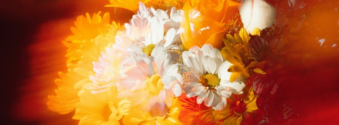 Какие цветы подарить на день рождения: идеи и советы флористов