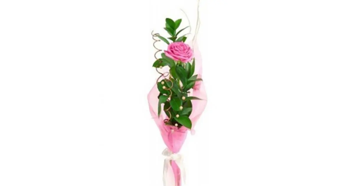 Упаковать 1 розу. Упаковать одну розу. Оформление одного цветка. Оформление 1 цветка. Как оформить один цветок.