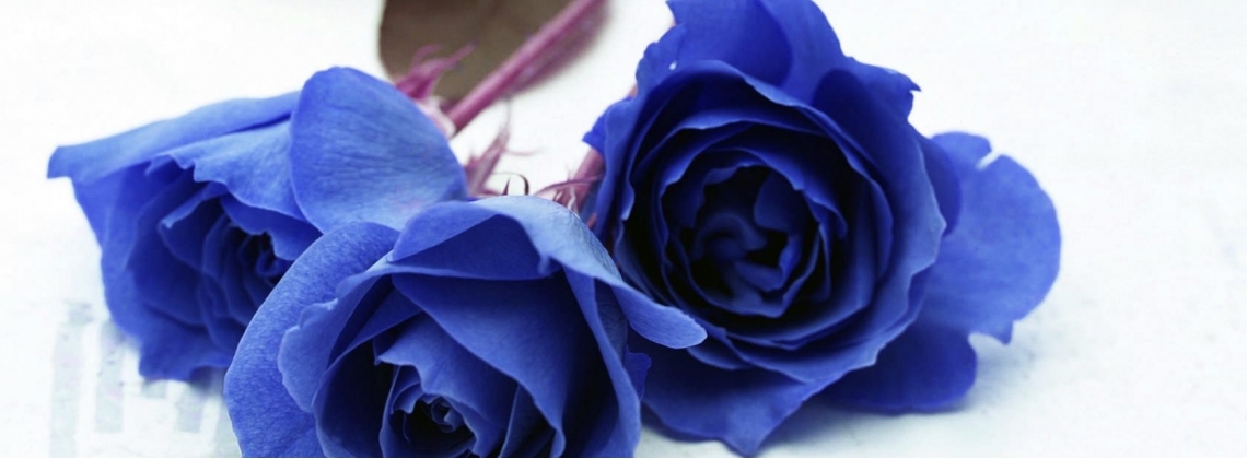 Синие Розы - мечта... Или реальность?